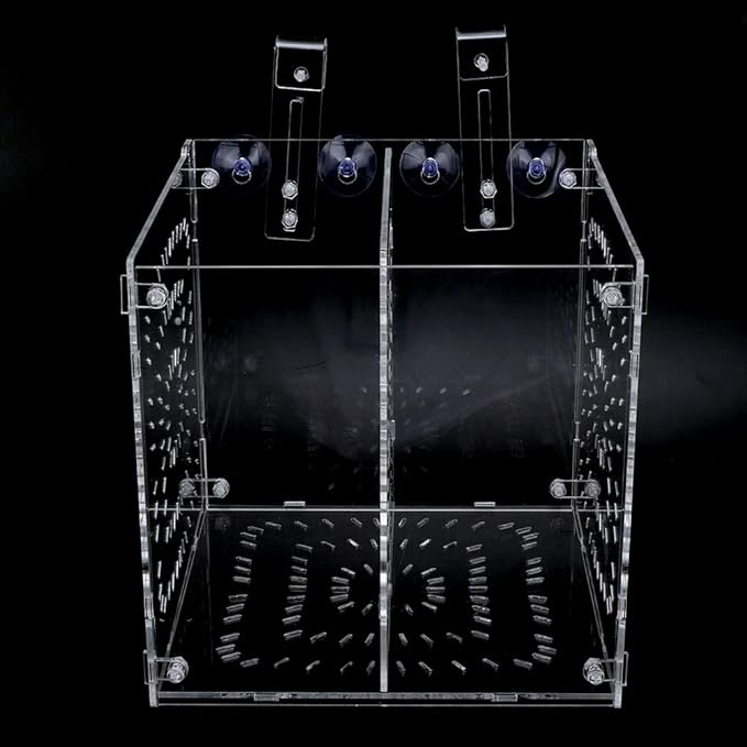 Fish Tank Breeding Box Aquarium Isolation Box High Transparency Adjustable Height Sturdy Acrylic Material for Fish Shrimp Isolation Transparent 15x15x15cm 30x15x15cm 20x20 (20MC *20CM*20CM)