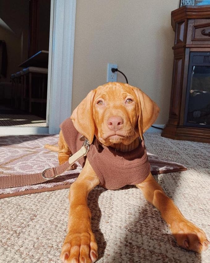 Gooby Stretch Fleece Vest Dog Sweater - Brown, X-Small - Warm Pullover Super Stretchy Fleece Dog Jacket for Small to Large Dogs