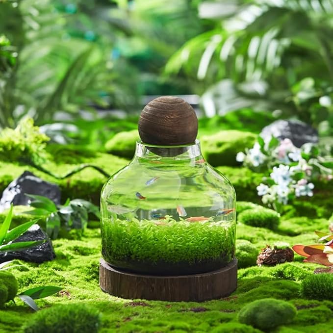 Glass Aquarium, Miniature Landscape Terrarium Glass Fish Tank with Wooden Base, Modern Betta Fish Tank, Small Aquarium for Home and Office Decoration,S