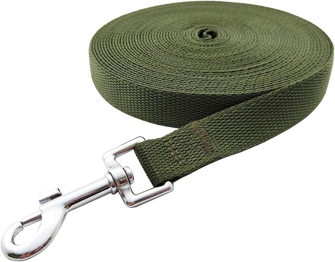 Nylon Training Dog Leash for Small Medium Large Dogs, 15ft 20ft 30ft 50ft Long Leash Dog/Puppy Lead for Obedience Recall Training, Camping (1" x 15ft, Green)
