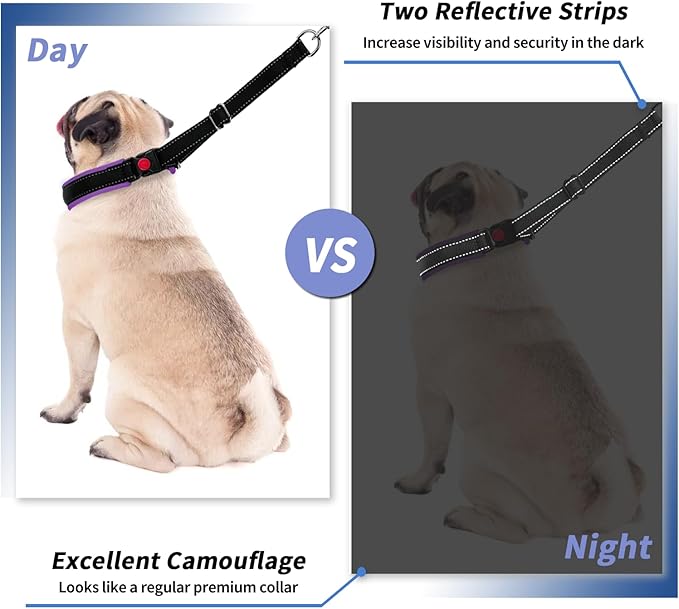 Martingale No Pull Dog Collar - Heavy Duty Nylon With Buckle, Adjustable Anti Pull Reflective Slip for Large Medium Small Dog Training Walking S Purple