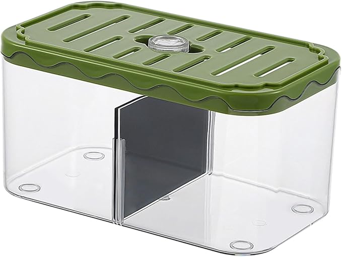 Small Fish Tank Aquarium Breeding Box Transparent Hatchery with Removable Divider for Clownfish Desktop, Green
