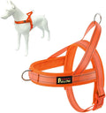 Plutus Pet No Pull Dog Harness with Breathable Mesh Padded, Adjustable Reflective Escape Proof Dog Harness, Quick Fit Dog Vest Harness for Small Medium Large Dogs(XL, Orange)