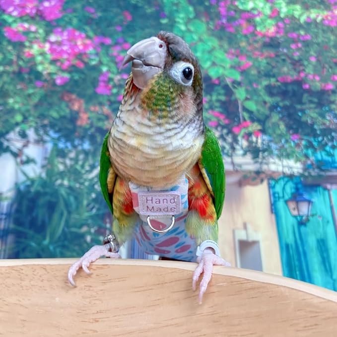 Bird Clothes Parrot Diapers Bird Flight Suits, Reusable Waterproof Diapers pet Bird Supplies (with Rope, XS)