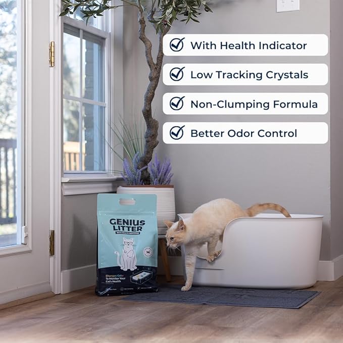 Genius Litter Health Monitoring Cat Litter, Featured on Shark Tank, Lightweight Crystal Silica Gel, Non Clumping, Dust Free, Low Tracking, Odor Control for Indoor Cats and Kittens, 3 Bag (18lb)