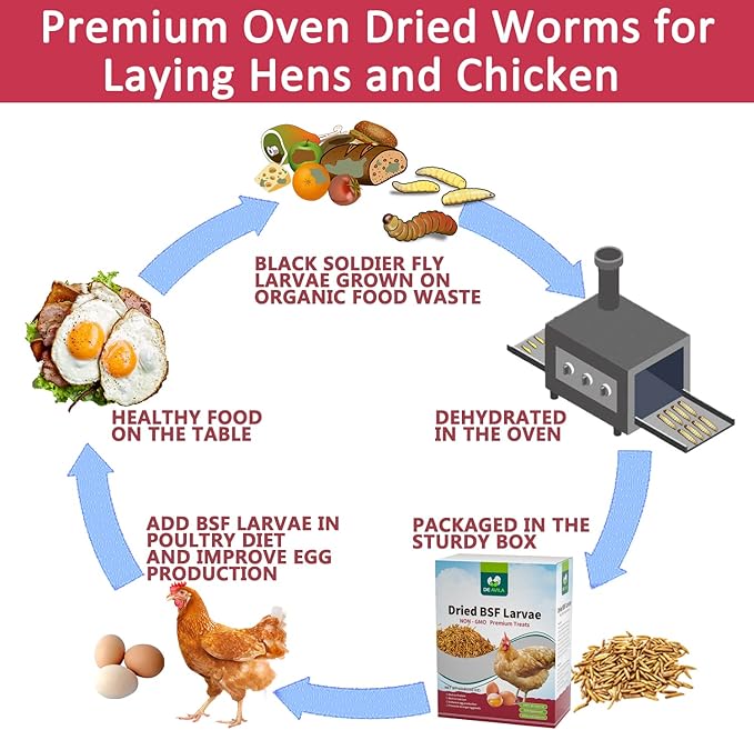 Black Soldier Fly Larvae for Chickens, Non GMO High Calcium BSF Larvae Fly Grubs Than Dried Mealworms for Turkeys, High Protein Chicken Treats for Laying Hens, Natural Wild Bird Food 10LB (2.5LB * 4)