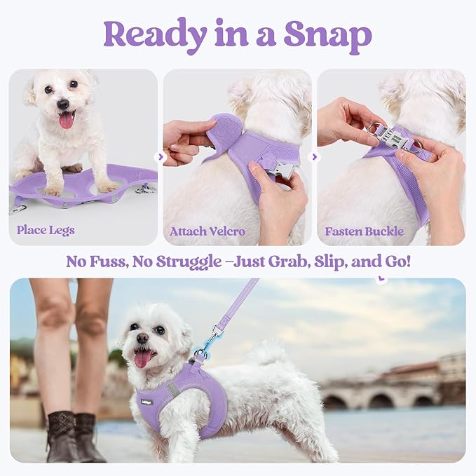 rabbitgoo Dog Harness Small Sized and Leash Set, Step in Soft Light Puppy Vest, Breathable Mesh Pet Harness, Reflective for Safe Easy Walking, Light Purple S