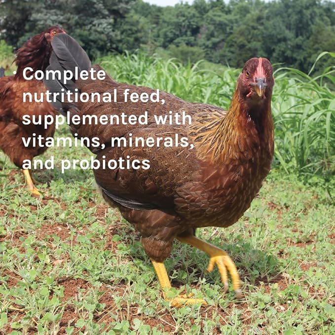 New Country Organics | Wheat-Free Chicken Feed 40lbs | Layer Feed for Laying Hens | Gluten-Free and Soy-Free | 17% Protein | Certified Organic and Non-GMO Chicken Food | 40 lbs