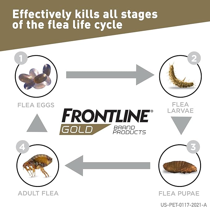 FRONTLINE Gold Flea & Tick Treatment for Medium Dogs Up to 23 to 44 lbs., Pack of 6