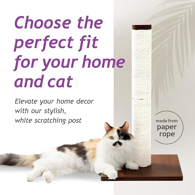 Necoichi 23.6” Tall Cat Scratching Post Kitten Scratcher Paper Rope Scratch Posts Trees with Hanging for Indoor Cats (23.6 inches for Kitty, Regular, Dark Cherry)