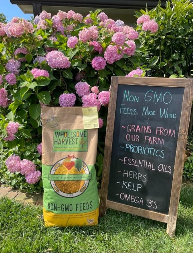 Corn & Soy-Free Chick Starter Feed - All Grain & Non-GMO Chick Food Starter with Omega 3 - Chicken Feed for Growing Healthy Chicks with High-Protein 22% and Probiotics - 40 Lb