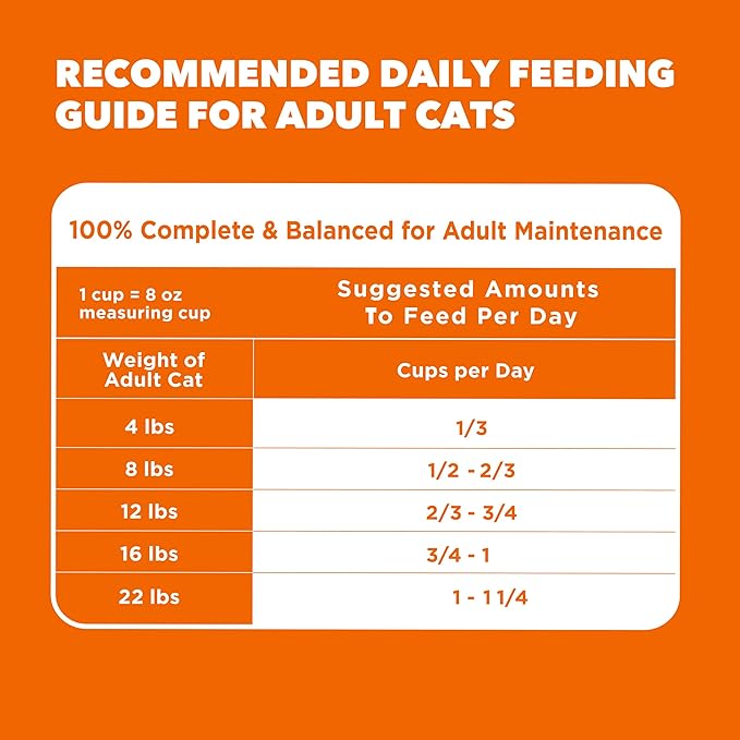 IAMS Proactive Health Dry Cat Food, Healthy Cat Food Dry Recipe for Adults, with Chicken 3.5 lb. Bag