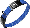 New Fi Series 3+ Smart Dog Tracker Collar [6 Month Membership Included] GPS Tracker for Dogs with Health & Behavior Monitoring, Escape Alerts, Waterproof, LED, Apple Watch Compatible (Blue, Small)