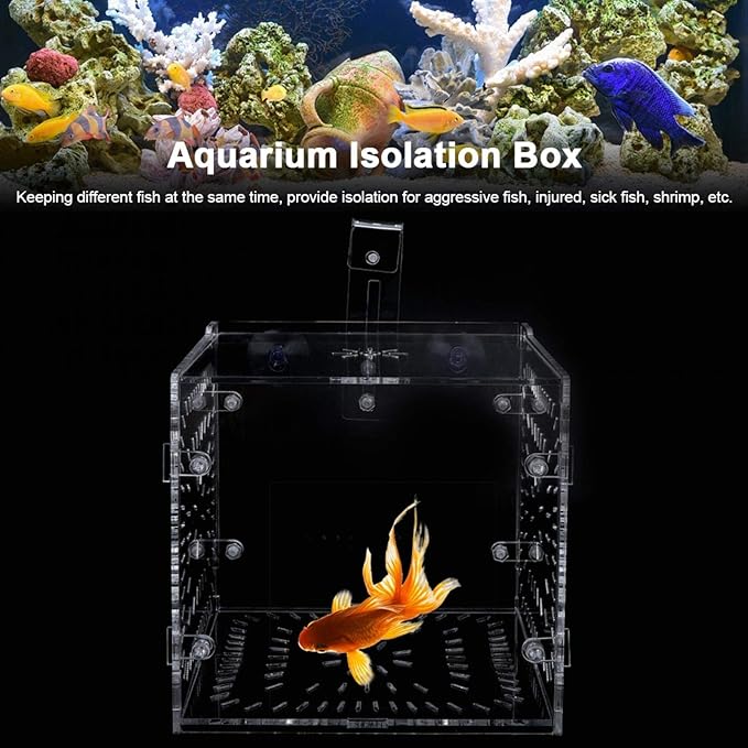 EVTSCAN Aquarium Breeder Box for Fish Tank, Fish Breeding Box Tank Hatchery Incubator Aquarium Isolation Box for Seedlings Incubation(S)