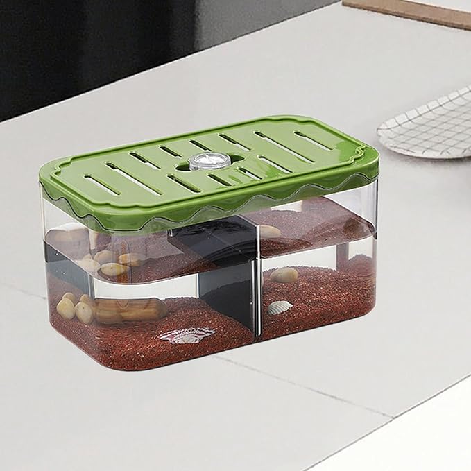 Small Fish Tank Aquarium Breeding Box Table Centerpieces Box Acclimation Hatchery for Fishes, Green