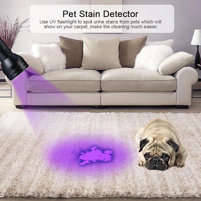 Jeanoko Pet Urine Detector, Portable Black Light Flashlight with More Bright 51 LEDs, Multipurpose Detection, Design, Spot Dried, Works Well, Scorpions, Hotel Rooms, Caterpillars,
