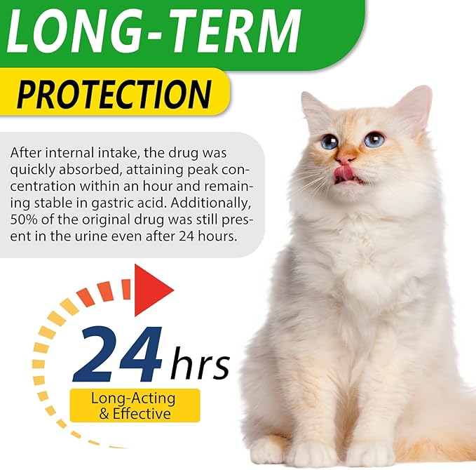 Cat Antibiotics, Antibiotics for Cats, Natural Cat Antibiotics Multivitamin Herbal Supplements 60ml