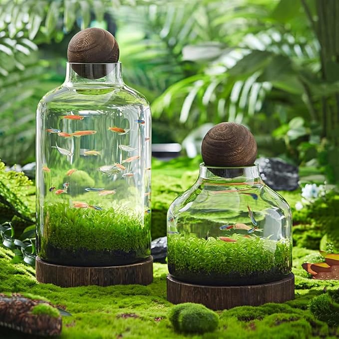 Glass Aquarium with Wooden Base, Microecosphere Fish Tank, Transparent Bottle-Shaped Batta Fish Bowel, Micro-Landscape Ecological Aquarium, Modern Glass Goldfish Tank,XL