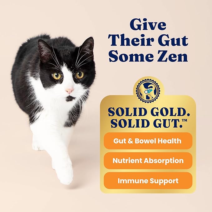 Solid Gold High Protein Dry Cat Food - Grain Free & Gluten Free Chicken Cat Dry Food w/Probiotics for Gut Health & Digestion - High Fiber & Omega 3 - Low Carb Kibble for All Ages - 6LB