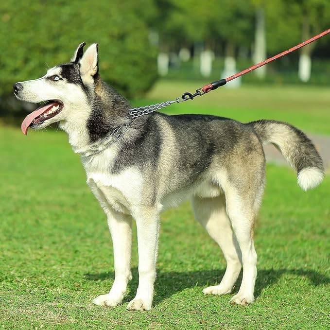 CBBPET Dog Prong Collar, Adjustable Dog Training Collar with Quick Release Buckle for Small Medium Large Dogs (Silver, XL /4.0mmNeck: 20"-23'' Weight:90 lbs)