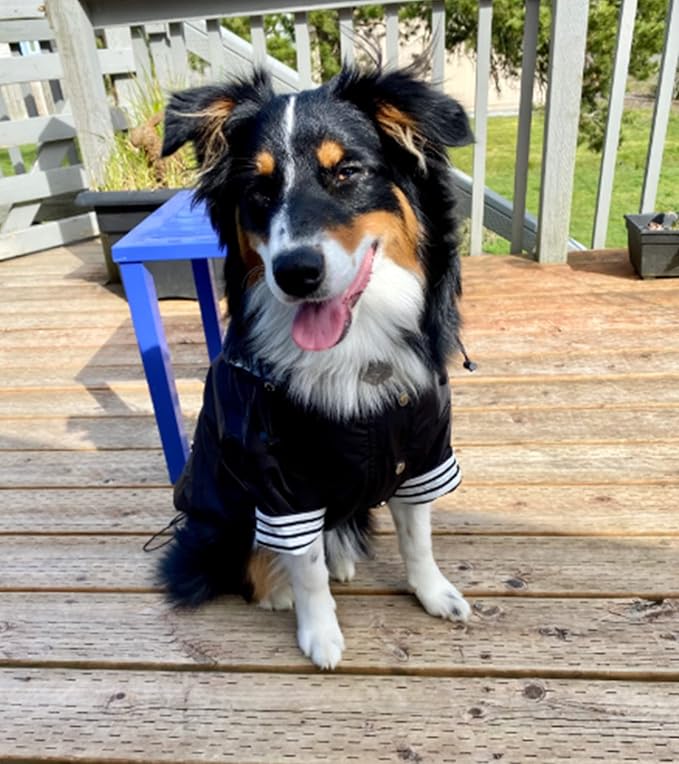Morezi Dog Zip Up Raincoat with Reflective Buttons, Rain/Water Resistant, Adjustable Drawstring, Removable Hood, Raincoats with Legs 8lbs to 80lbs Available - Black - M