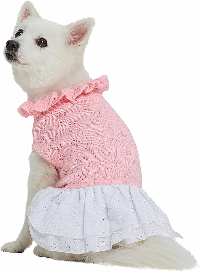 Blueberry Pet My Cutie Princess Ruffle Collar Dog Sweater Dress with Guipure Lace, Pink, Back Length 14", Fall Winter Clothes for Girl Dogs