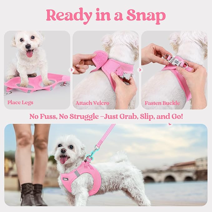 rabbitgoo Dog Harness Small Sized and Leash Set, Step in Soft Light Puppy Vest, Breathable Mesh Pet Harness, Reflective for Safe Easy Walking, Light Pink XXS