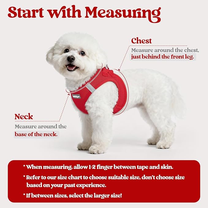 rabbitgoo Dog Harness Small Sized and Leash Set, Step in Soft Light Puppy Vest, Breathable Mesh Pet Harness, Reflective for Outdoor Safe Walking, Red XL