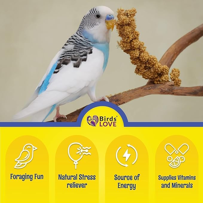 Birds LOVE Millet Tips & Tails for Birds - Parakeets, Cockatiels, Lovebirds, Budgies, Canaries, Cockatoos - Natural & Healthy Millet for Bird, Parakeet Food & Treats for All Parrots, 1lb (Pack of 25)