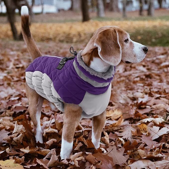 LeLePet Warm Dog Winter Coat, Waterproof Fleece, Windproof, Reflective, Turtleneck, Harness, Purple, XXX-Large