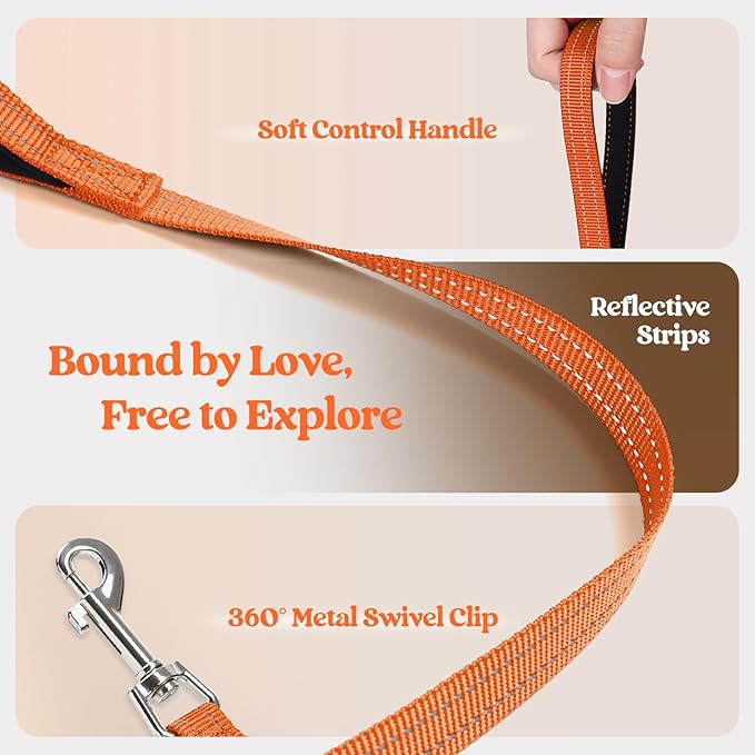 rabbitgoo Dog Harness Small Sized and Leash Set, Step in Soft Light Puppy Vest, Breathable Mesh Pet Harness, Reflective for Safe Easy Walking, Orange M