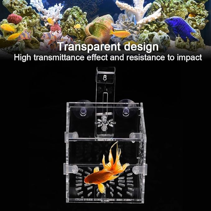 Rosvola Fish Isolation Box, Fish Breeding Incubator Aquarium Hatchery Fish Tank Isolation Box, Incubator Holder Transparent for Shrimp Aquarium(10Cm10Cm10Cm)