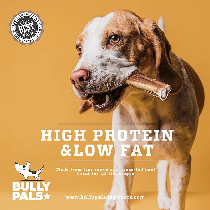 12 inch Jumbo Bully Sticks for Medium to Large Dogs - 5 Pack - Extra Thick Dental Chews for Dogs, Long Lasting, All Natural, Single Ingredient, Easily Digestible, Rawhide Free Dog Treats