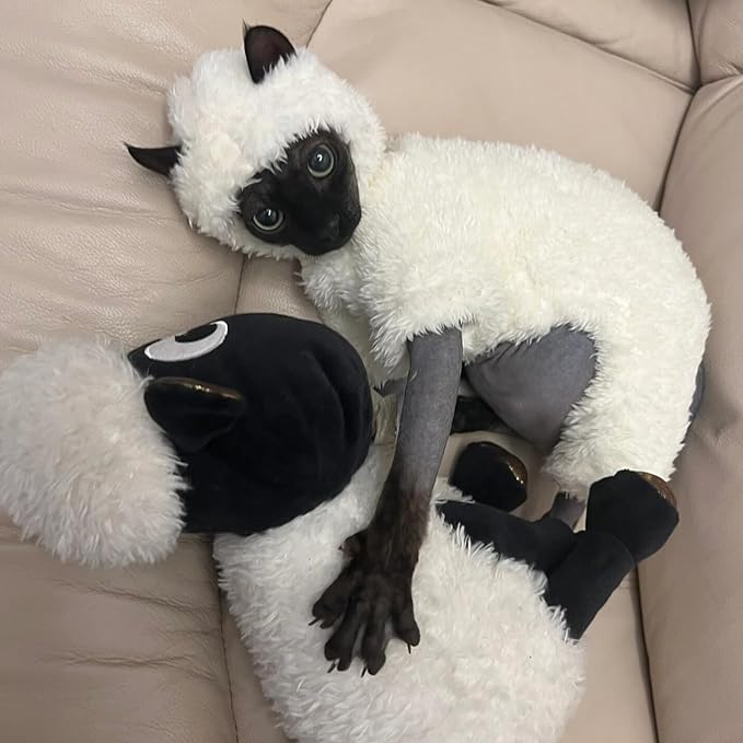 Warm Fleece Lined Winter Clothing for Sphynx & Devon Rex Cats | Soft Faux Lamb Wool | Cozy and Comfortable (Sheep Costume,S 1-2 kg.)