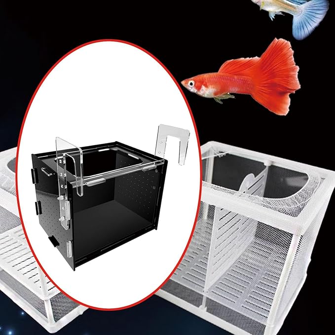 Fish Breeder Box Isolation Box Transparent Separator Easy Installation Hatchery Incubator for Baby Fish Betta Guppy, 20x15x15cm