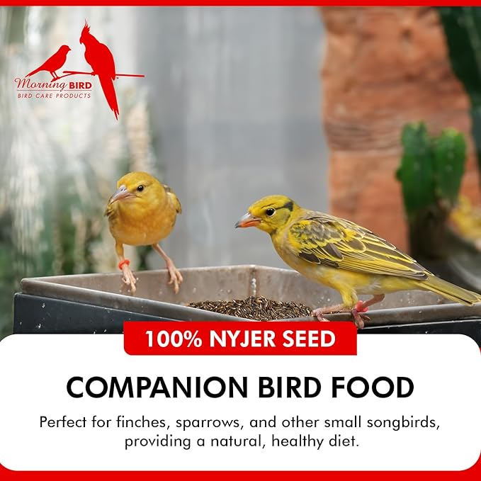 Morning Bird Nyjer Seed for Birds 18 lbs (2-Pack, 9 lbs Each) – Rich in Natural Healthy Fats – Ideal for Breeding & Molting – Premium Bird Food for Canaries and Other Seed-Eating Birds