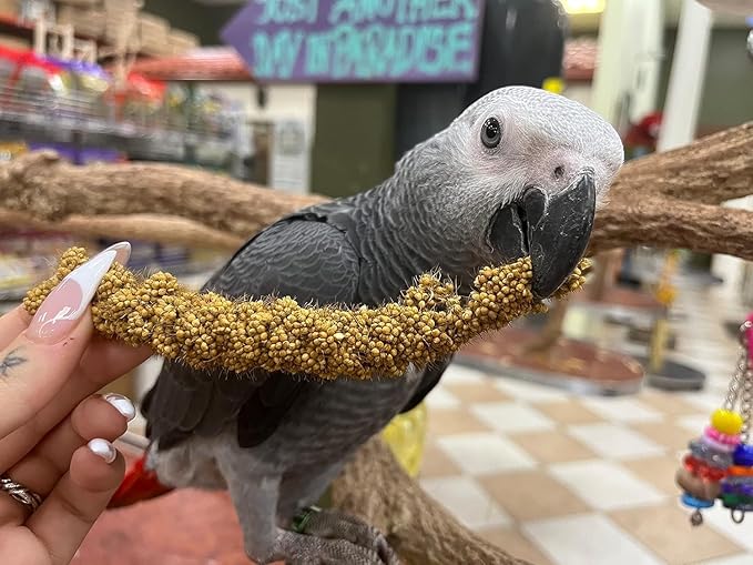 Birds LOVE Millet Tips & Tails for Birds - Parakeets, Cockatiels, Lovebirds, Budgies, Canaries, Cockatoos - Natural & Healthy Millet for Birds, Parakeet Food & Treats for all Parrots, 5oz (Pack of 94)