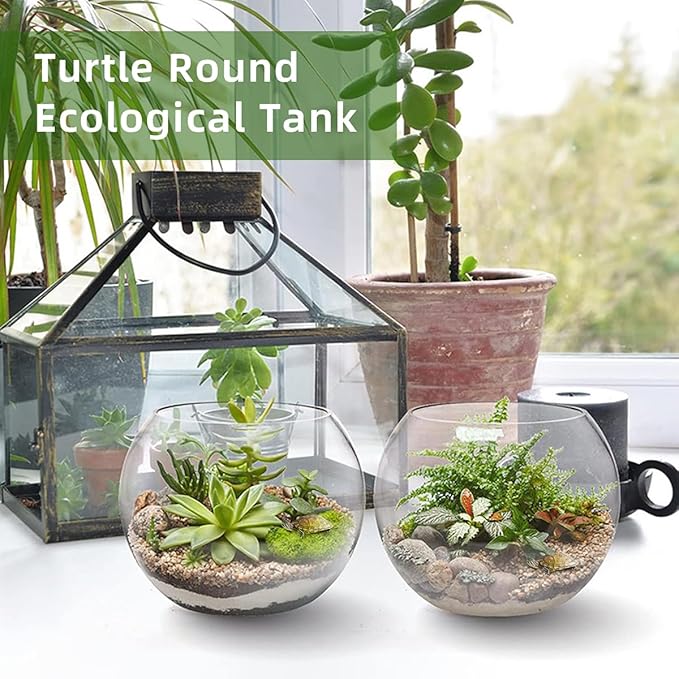 MANON ROSA Turtle Bowls Round Ecological Tank Container Clear Aquarium Habitat Small Desktop Home for Hydroponic Plants Fish Starter Choice (L(9.8" D))