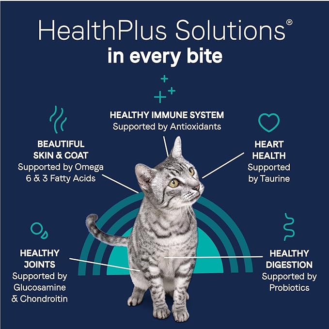 Canidae Pure Limited Ingredient Premium Dry Cat Food, Real Chicken Recipe, 5 lbs, Grain Free