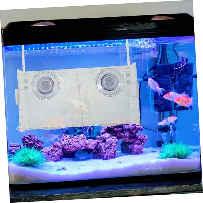 Milisten Aquarium Fish Breeding Box Acrylic Fish Tank Divider Suction Cups Lightweight Portable Safe