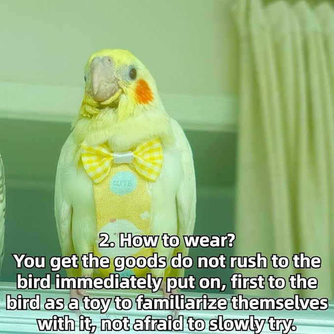 Bird Diaper Protective Parrot Nappy - 4 Pack, Reusable Flight Suit with Waterproof Inner Layer, Adjustable Shoulder Straps, Washable Cute Urine Wet Suit for Parakeet Conure (Pigeon)