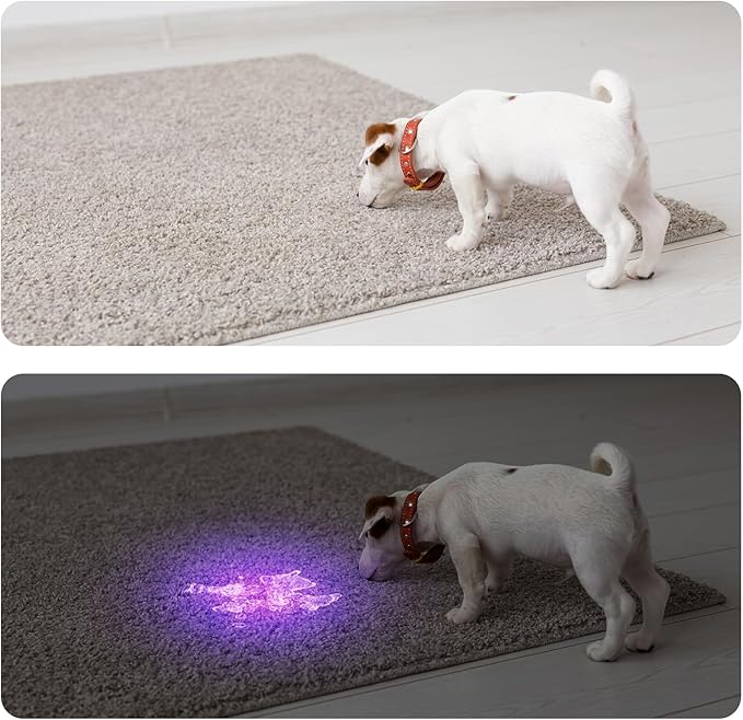 COSOOS Black Light UV Flashlight, 21 LED Handheld UV Light, 395nm Mini Blacklight Flashlight, Portable Pet Urine Detector for Dog Cat Urine Stains, Bed Bugs, Scorpion, Resin Curing, Nails