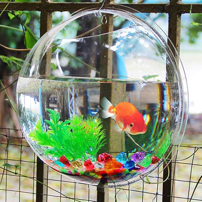 Alipis Wall Mounted Acrylic Fish Tank 6 Inch Hanging Fish Bowl Transparent Aquarium for Home Decor Living Room Plant Terrarium Style