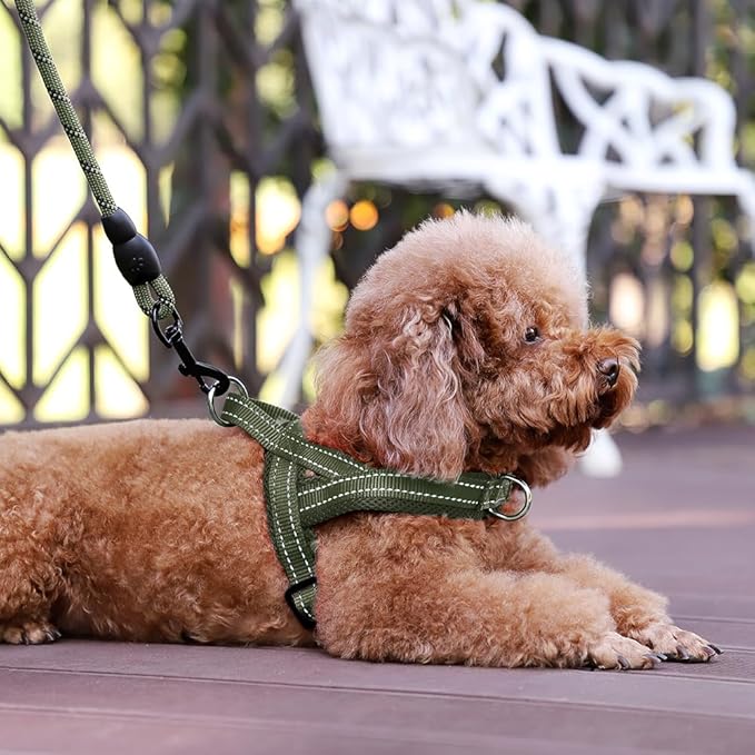 Plutus Pet No Pull Dog Harness with Breathable Mesh Padded, Adjustable Reflective Escape Proof Dog Harness, Quick Fit Dog Vest Harness for Small Medium Large Dogs(L, Ranger Green)