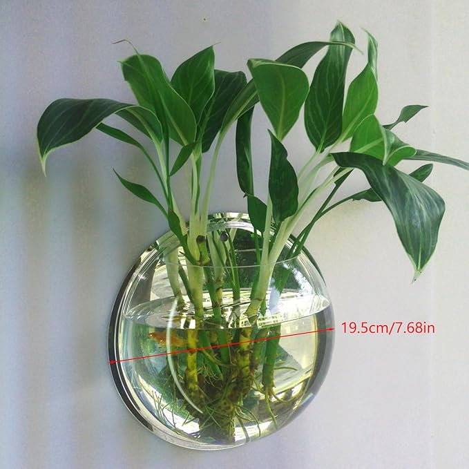 Wall Mounted Fish Bowl Hanging Betta for Aquarium Wall Decor Plant Fish Bubble Bowls Clear Acrylic 5.9" 7.7" 10.2"