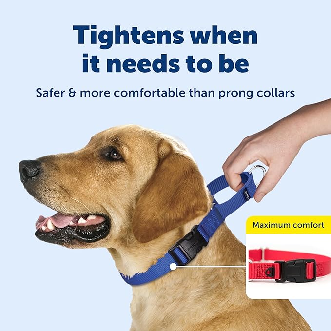 PetSafe Martingale Collar with Quick-Snap Buckle - Adjustable No-Slip Quick Release Dog Collar - Everyday Wear No-Pull Training Aid - 3/4" Wide - Small - Royal Blue