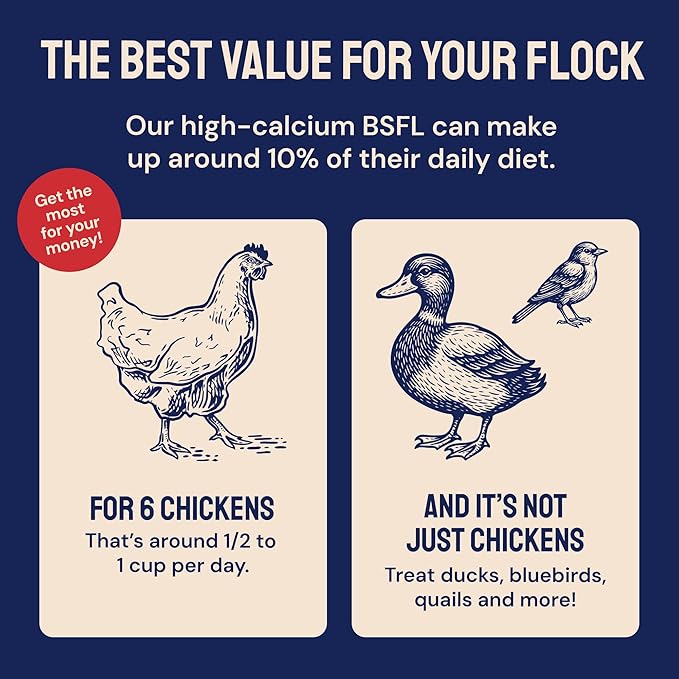 Hatortempt Black Soldier Fly Larvae - Calcium-Rich Chicken Feed Supplement - Treats for Laying Hens - Grubs for Chickens Training Rewards (10lb)