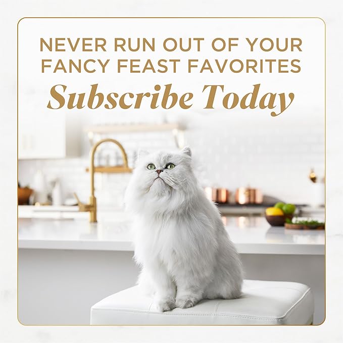 Fancy Feast Purina Savory Centers Wet Cat Food Pate Variety Pack with Chicken, Salmon, Beef, and Tuna Pate with Gravy Center - (4 Packs of 12) 3 oz. Pull-Top Cans