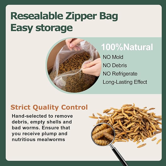 2LB Dried Black Soldier Fly Larvae for Chickens Treats Bulk, Non GMO BSF Larvae 85X More Calcium Than Dried Mealworms for Laying Hens, Chicken Worms for Wild Birds