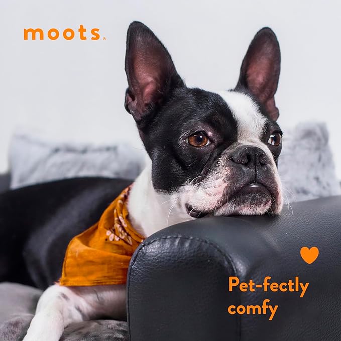 Moots Premium Leatherette Pets Sofa, Black/Charcoal, Small